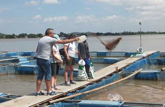 Ferme d'elevage de poissons